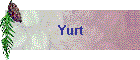 Yurt